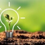 Corporate sustainability trends