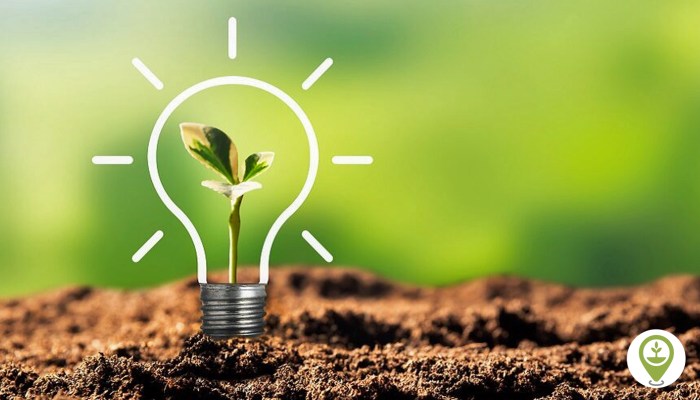 Corporate sustainability trends
